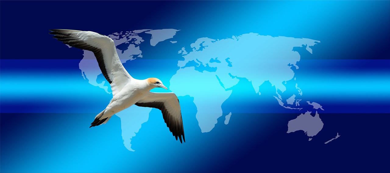 continents, earth, bird, globe, world, news, press, newspaper, newspapers, northern gannet, wildlife, flying, freedom, journalism, headlines, newsletter, information, read, paper, article, blog, magazine, icon, mail, e-mail, e mail, electronic mail, communication, digital, advertising, broadcast, letter, internet, notification, nature, newsletter, newsletter, newsletter, newsletter, newsletter, blog